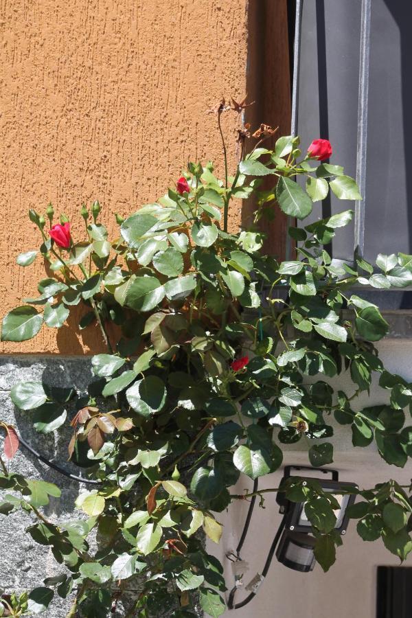 Bed and Breakfast Beb Da Gaia E Giulio Reno Di Leggiuno Exterior foto
